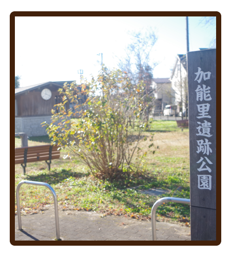 月一回から可能